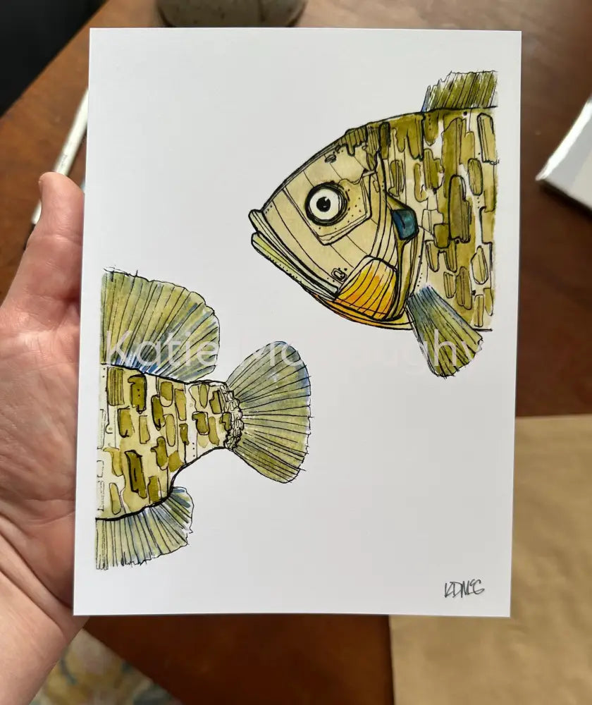 Bluegill Print