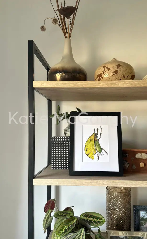 June bug leaf Print Print