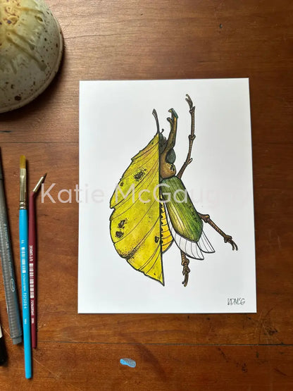 June bug leaf Print Print