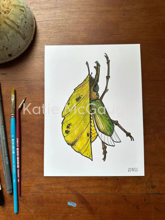 June bug leaf Print Print