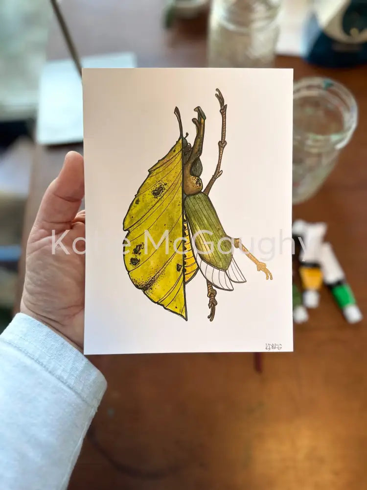 June bug leaf Print Print